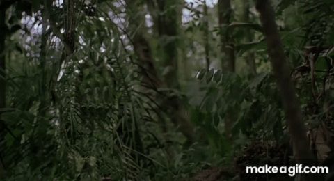 Predator-style camouflage shimmer